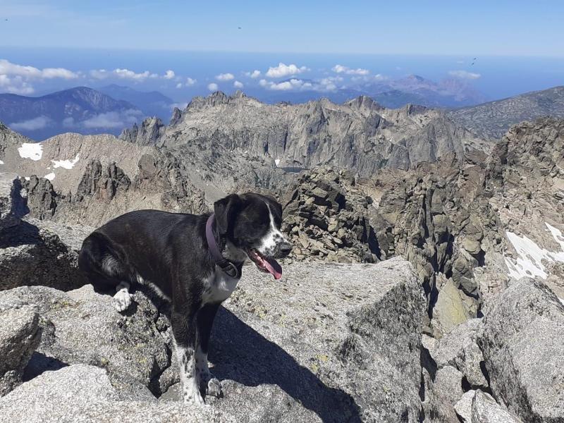 Sports & Loisirs Hotel Costa Verde Hotel